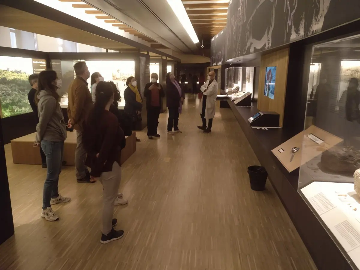 Exposición permanente Museu de Prehistòria de València
