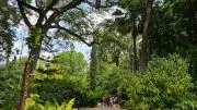 Actes I Activitats: Llibres I Plantes: Visites Guiades