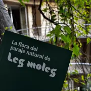 Actes I Activitats: Presentació De Llibre