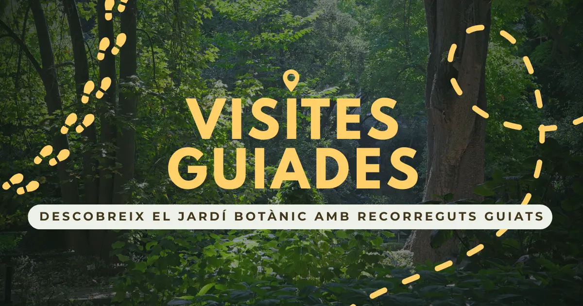 Visites Guiades
