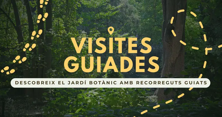 Visita guiada octubre 2026 (Públic General)