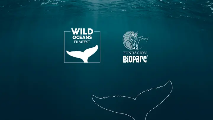 Soul of the Ocean