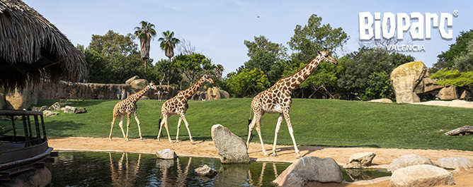 Visita guiada especial en BIOPARC València