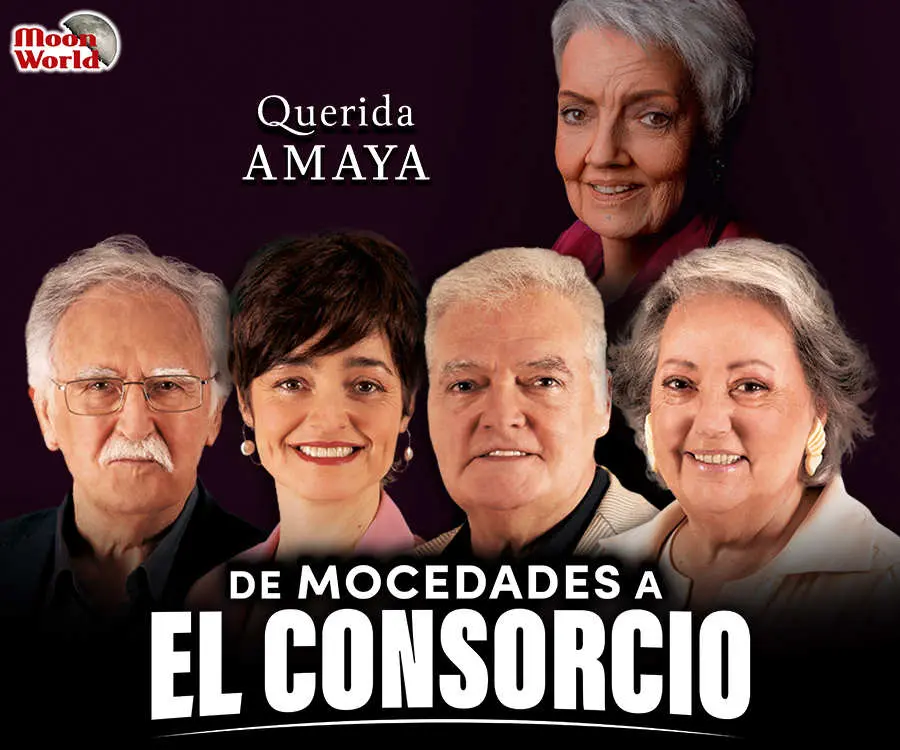 Querida Amaya