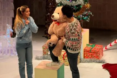 Sueños. El Osito Rody Y El Árbol De Los Deseos - Infinito Teatro