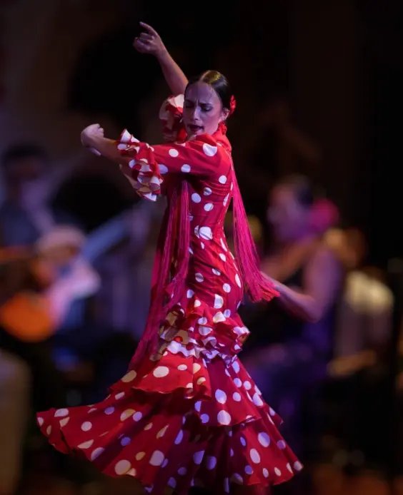 Cena & Show Flamenco