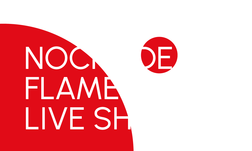 Flamenco Show