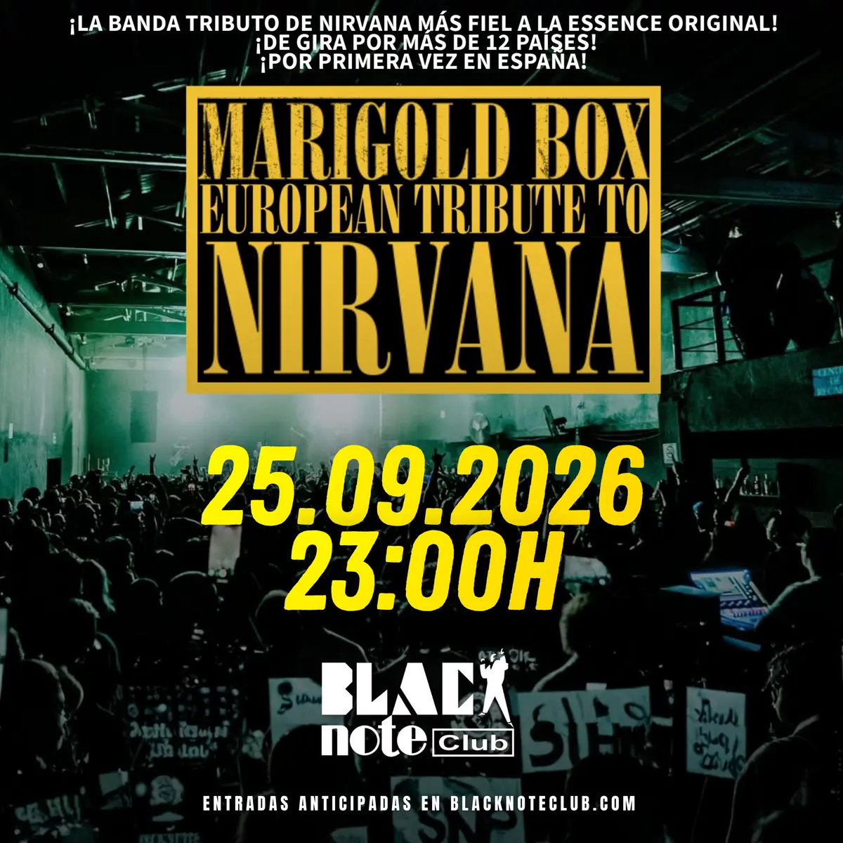MARIGOLD BOX - Tributo NIRVANA