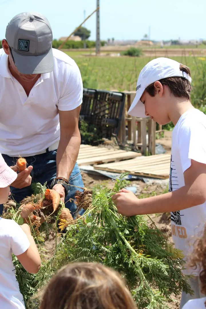 🍅🍆🥬menudets A L´horta
