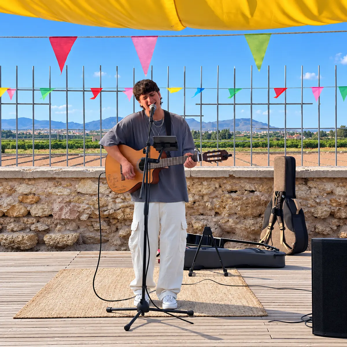 🎸música en Directo