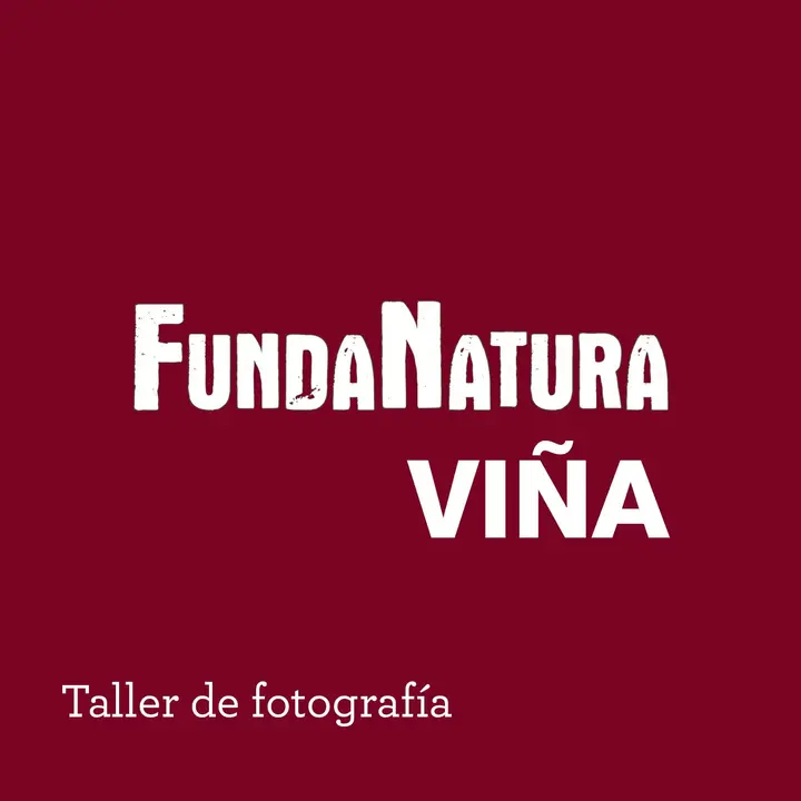 FundaNatura: taller fotográfico para documentar el proceso artesanal de la elaboración de vino