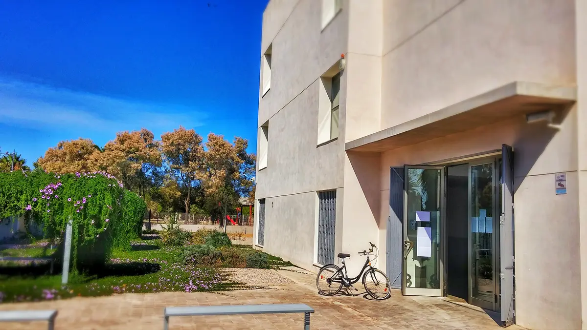 Asesoría de ocupación y formación (Actividad permanente)