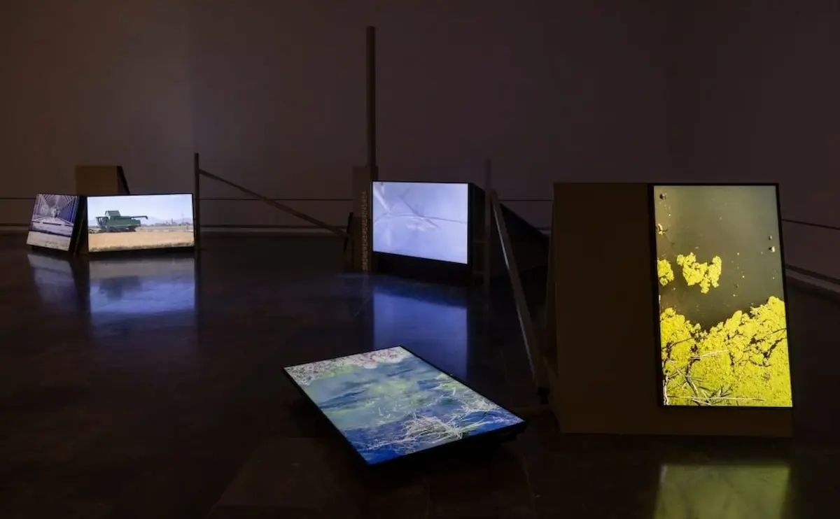 Exposición sobre L'Albufera en el IVAM de València